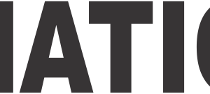 Winking Lizard Donation